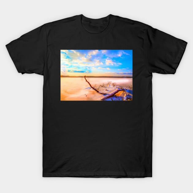 Winter landscape near a pond T-Shirt by Hujer